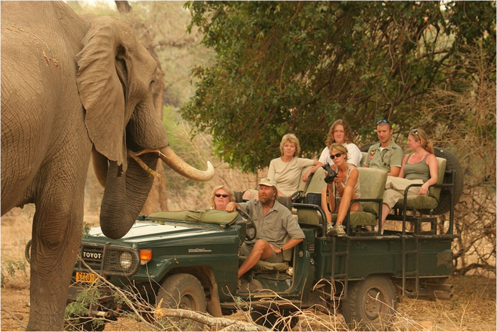 Mana Pools National Park safari Zimbabwe